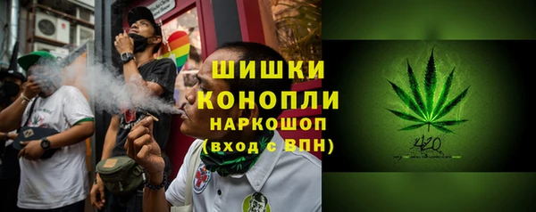 ПСИЛОЦИБИНОВЫЕ ГРИБЫ Дмитров