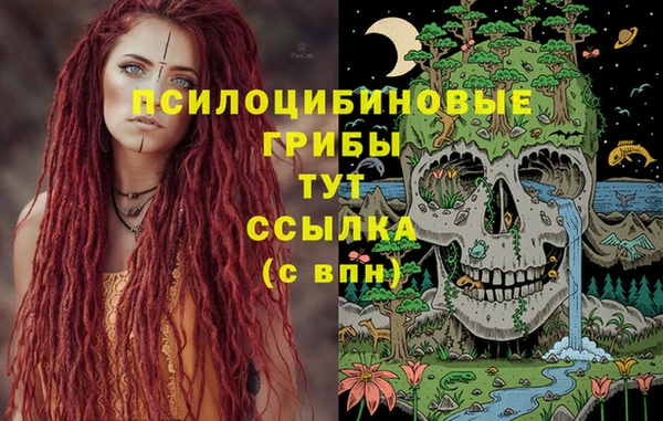 герыч Дмитриев