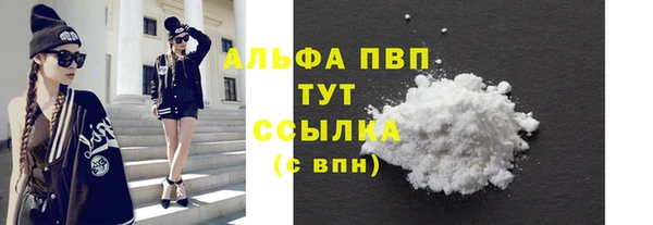 spice Елизово
