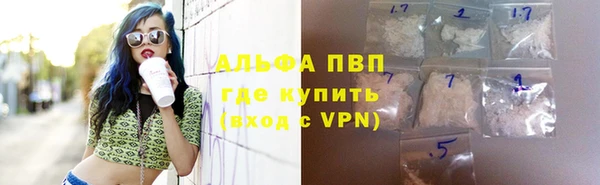 ПСИЛОЦИБИНОВЫЕ ГРИБЫ Дмитров