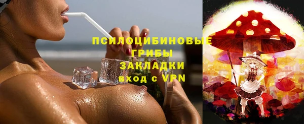 ПСИЛОЦИБИНОВЫЕ ГРИБЫ Дмитров