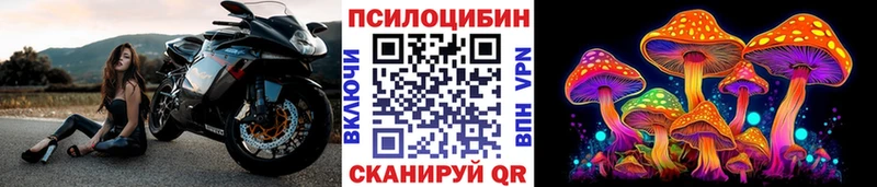 Галлюциногенные грибы Cubensis  где продают   Няндома 